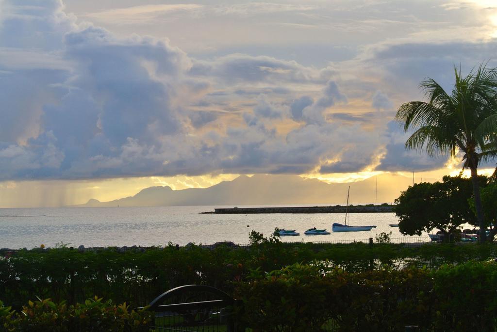 Savannah Guadeloupe Saint-Francois  Dış mekan fotoğraf